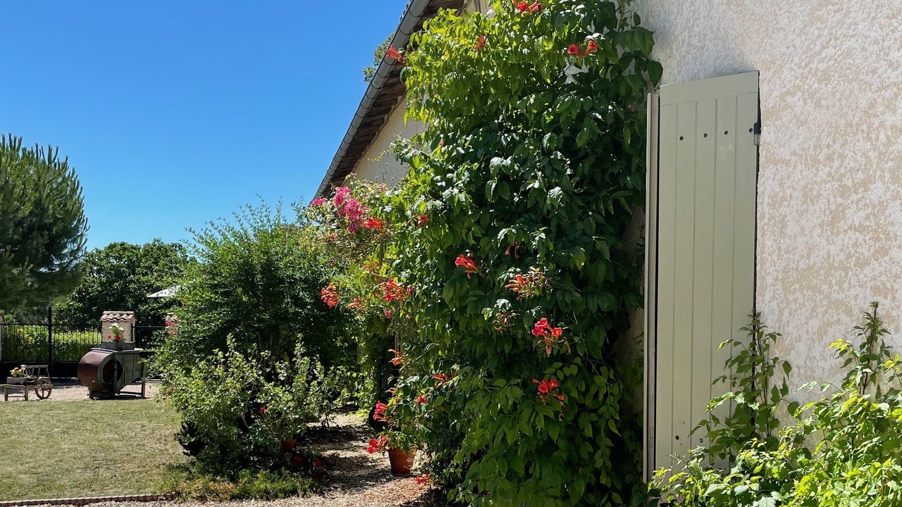 Photo of Outdoor in Sainte-Souline