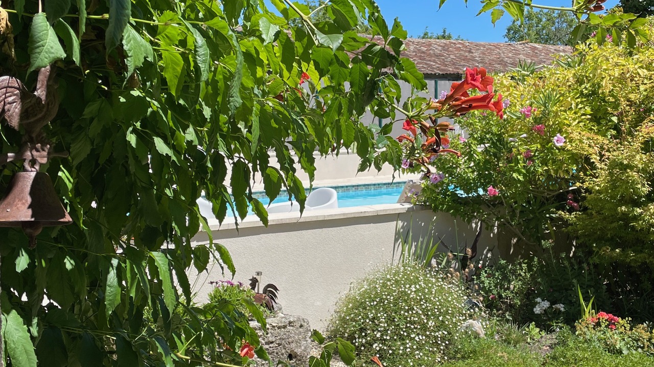 Photo of Outdoor in Sainte-Souline