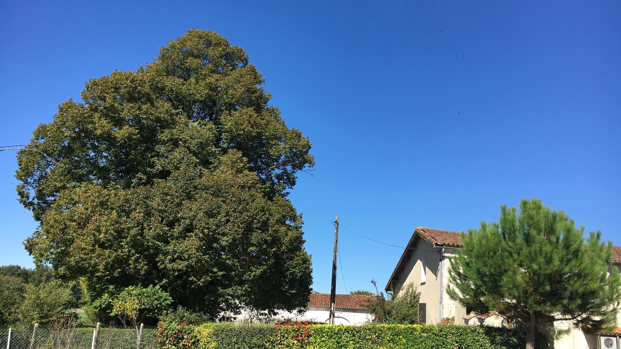 Photo of Outdoor in Sainte-Souline
