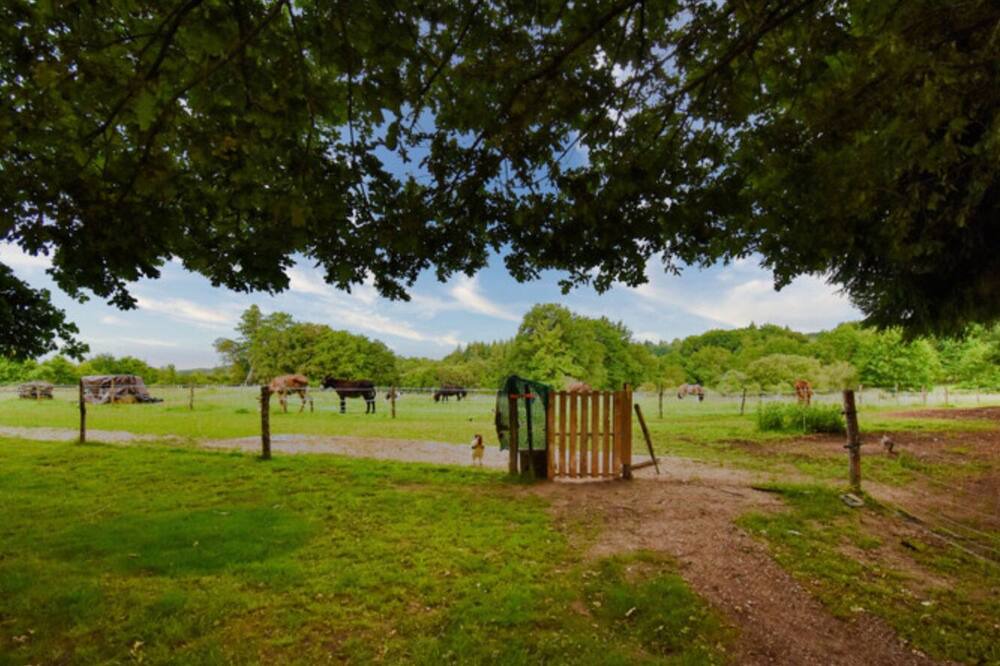 Photo of Outdoor in Marcillac-la-Croisille