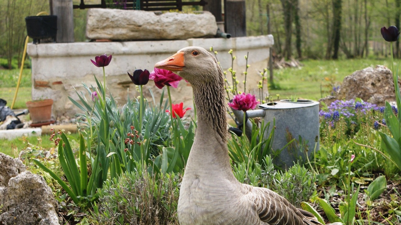 Photo of Outdoor in Cavarc