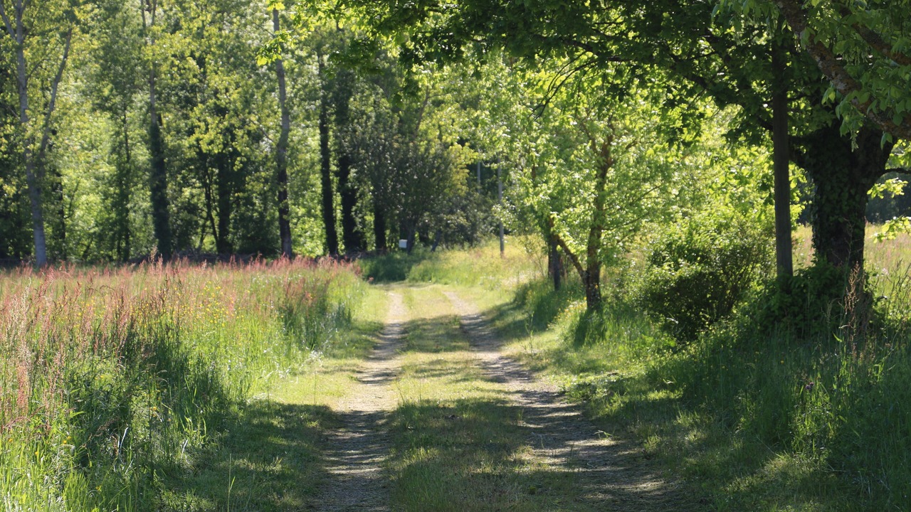 Photo of Others in La Fagette