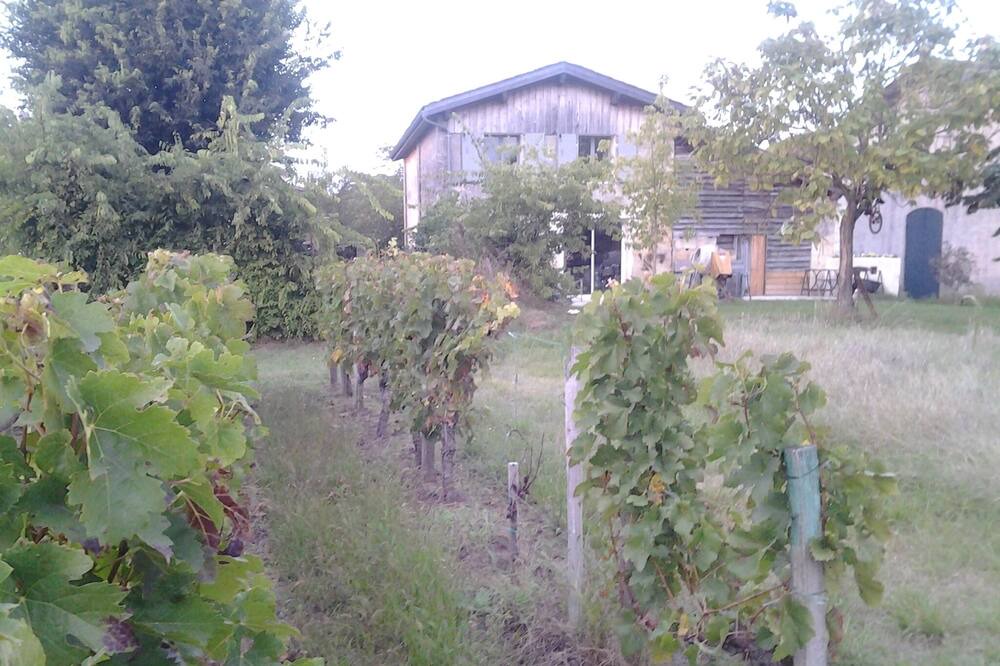 Photo of Outdoor in Saint-Emilion