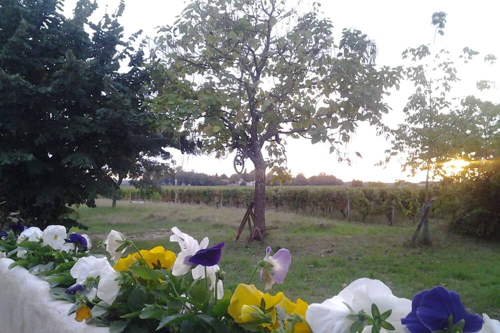 Photo of Outdoor in Saint-Emilion