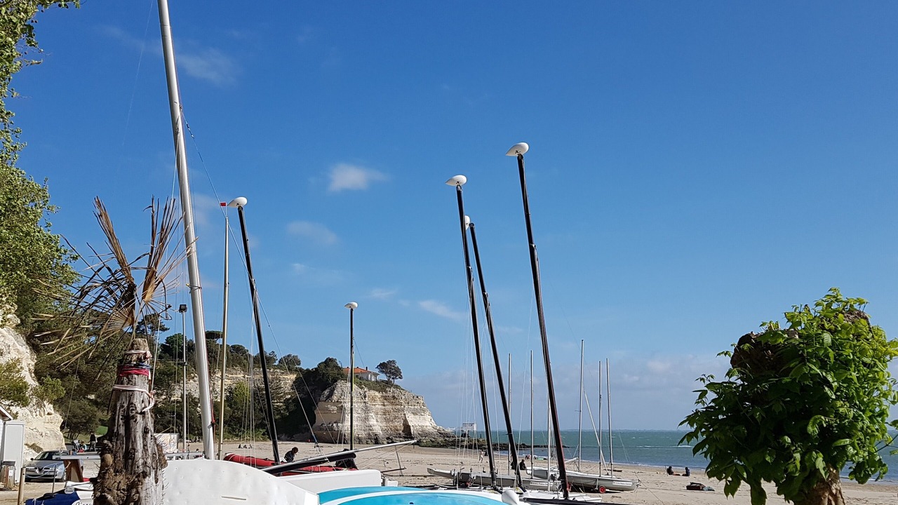 Photo of Others in Meschers-sur-Gironde