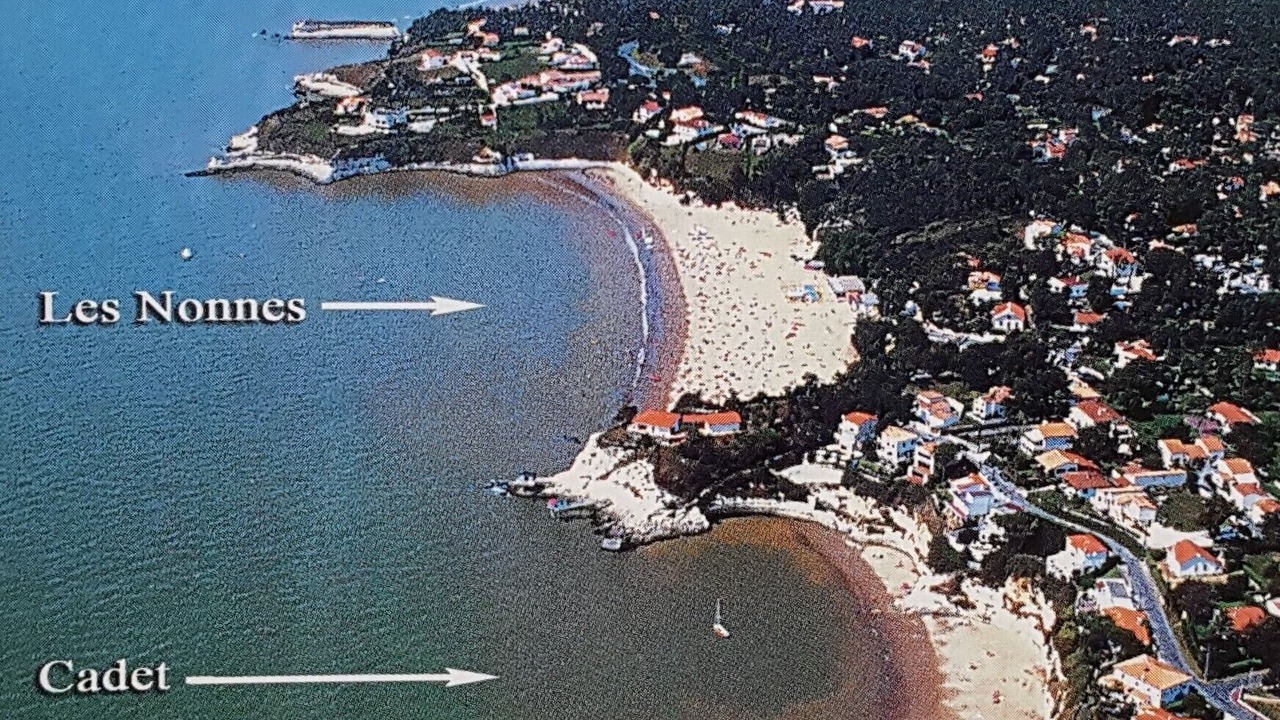 Photo of Others in Meschers-sur-Gironde