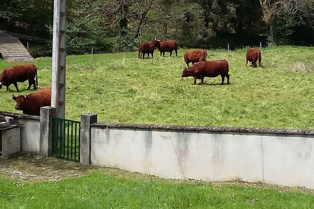 Photo of Outdoor in Cheronnac