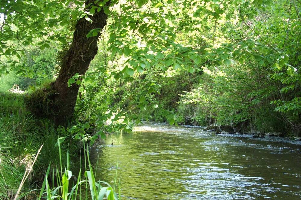 Photo of Outdoor in Cheronnac