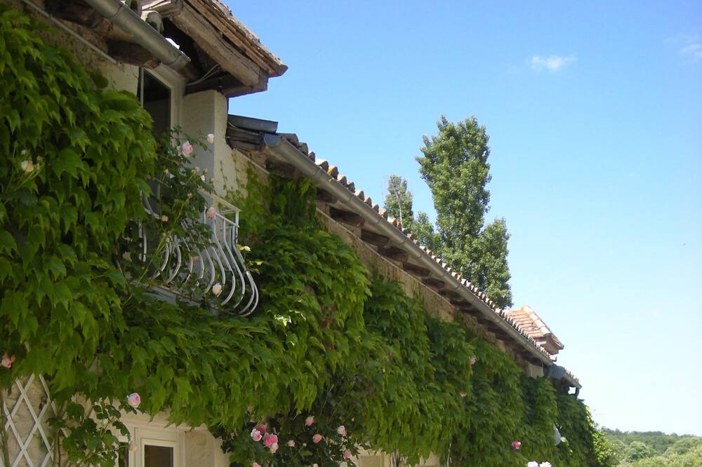 Photo of Outdoor in Moussais-la-Bataille