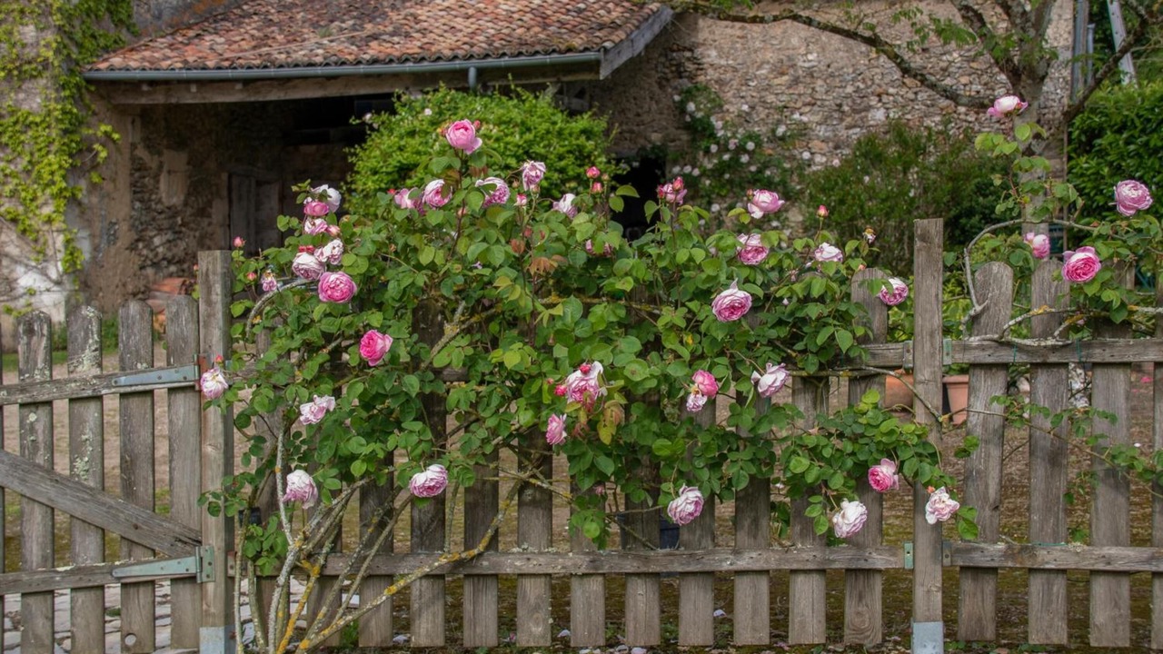Photo of Outdoor in Vouneuil-sur-Vienne