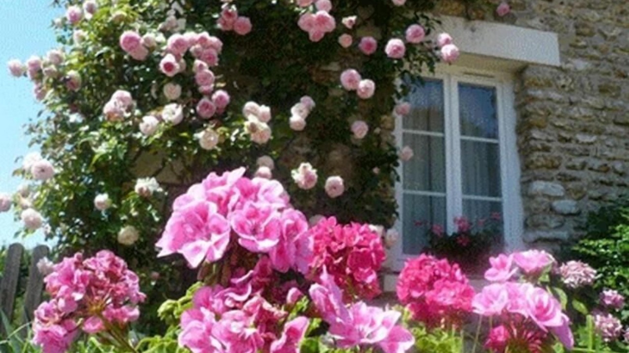 Photo of Outdoor in Vouneuil-sur-Vienne
