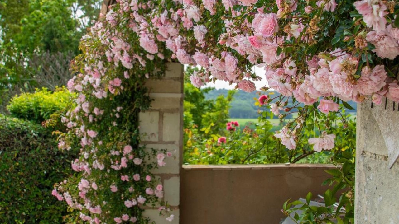 Photo of Patio Balcony in Vouneuil-sur-Vienne