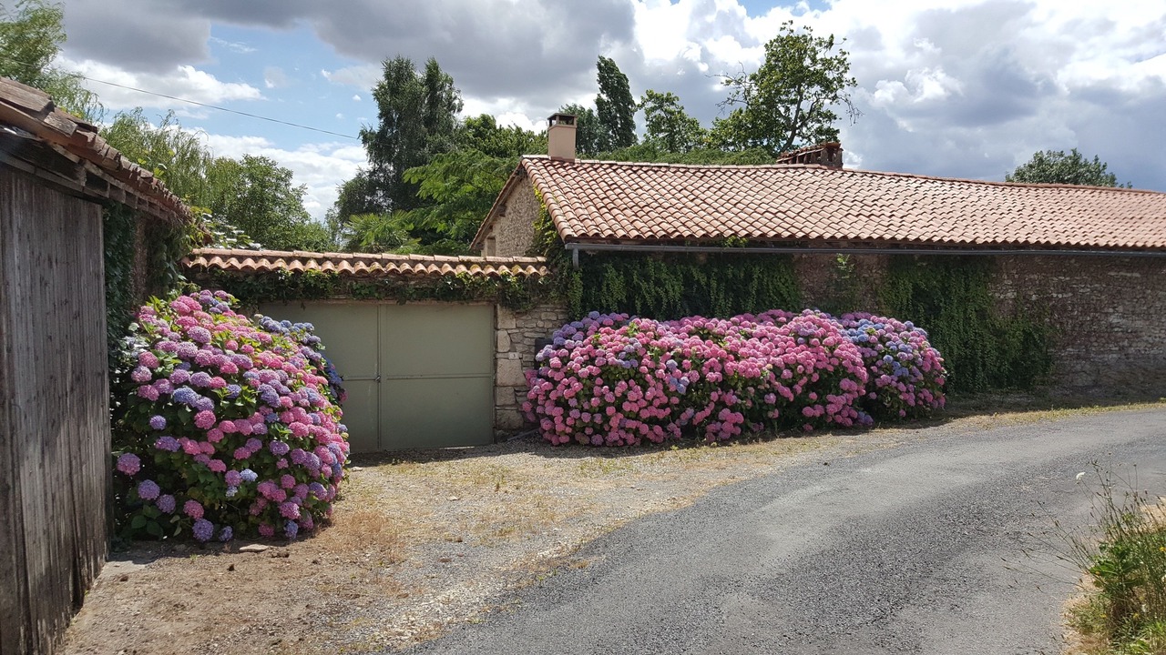 Photo of Outdoor in Savigne