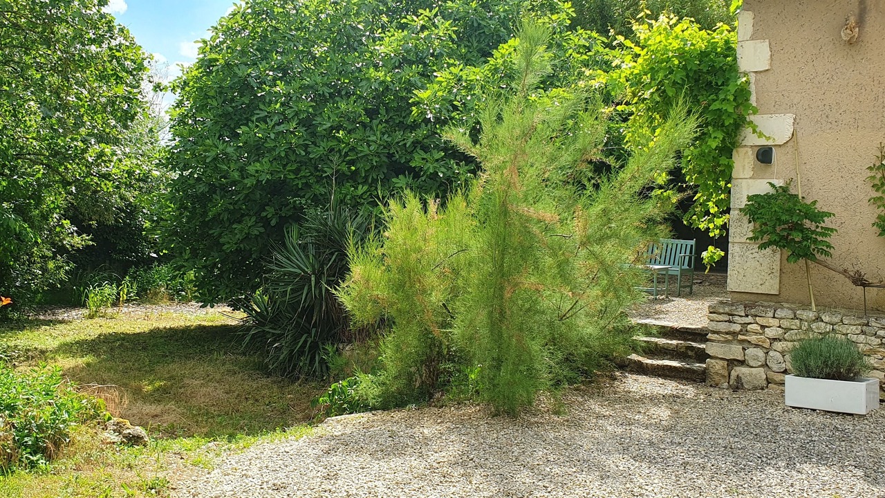 Photo of Outdoor in Savigne