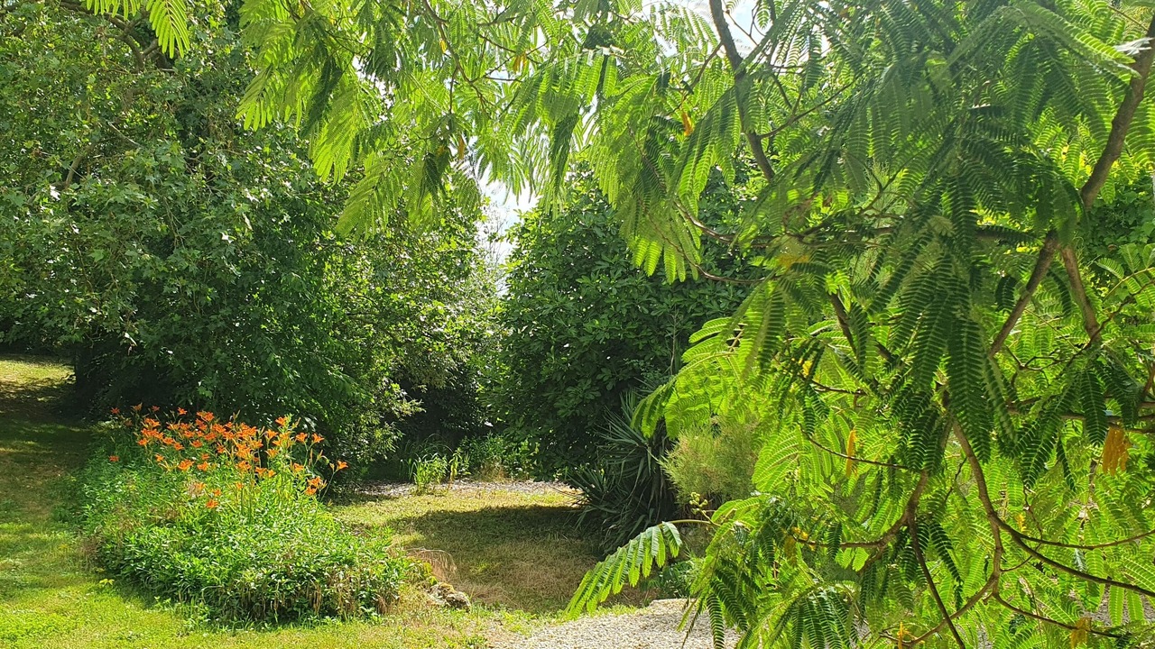 Photo of Outdoor in Savigne