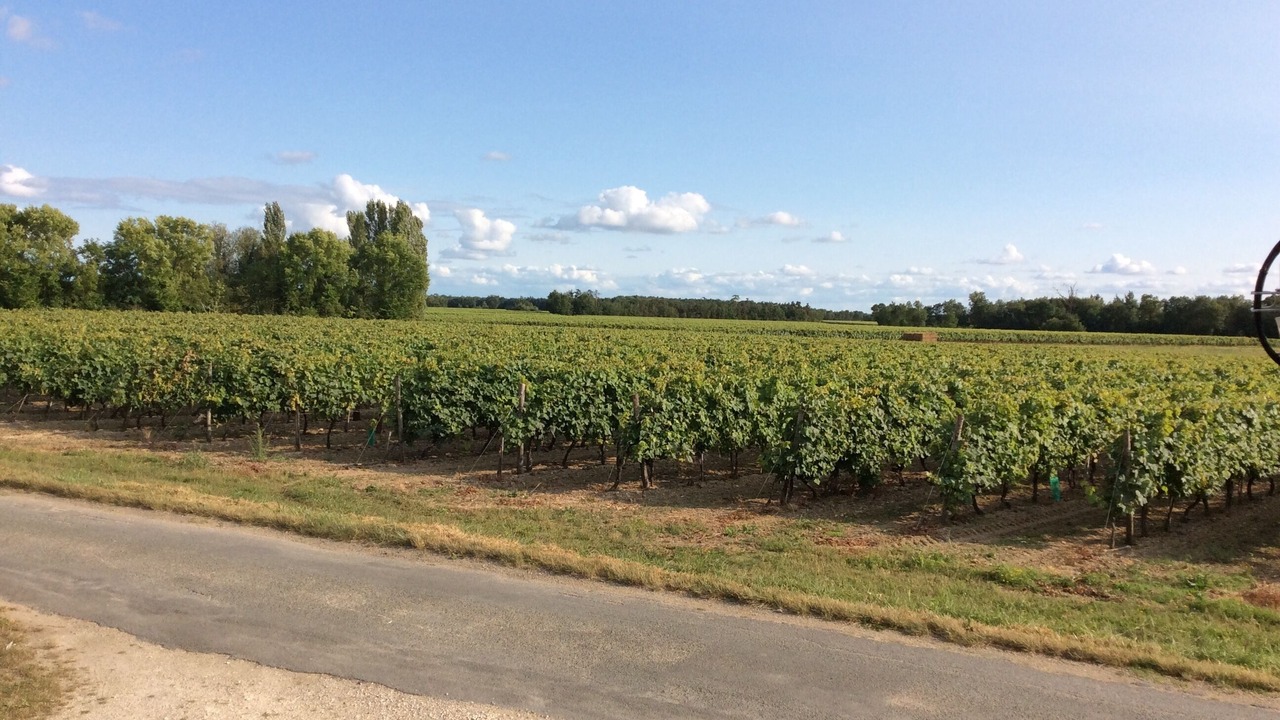 Photo of Outdoor in Sonnac