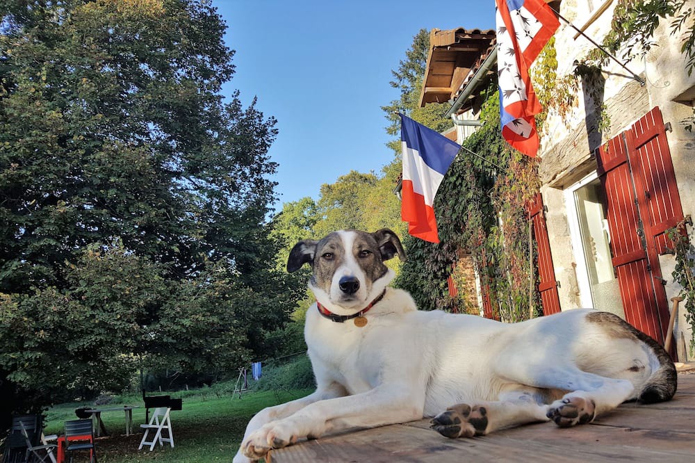 Photo of Outdoor in Pensol