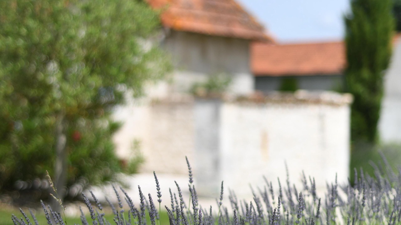 Photo of Outdoor in Reaux