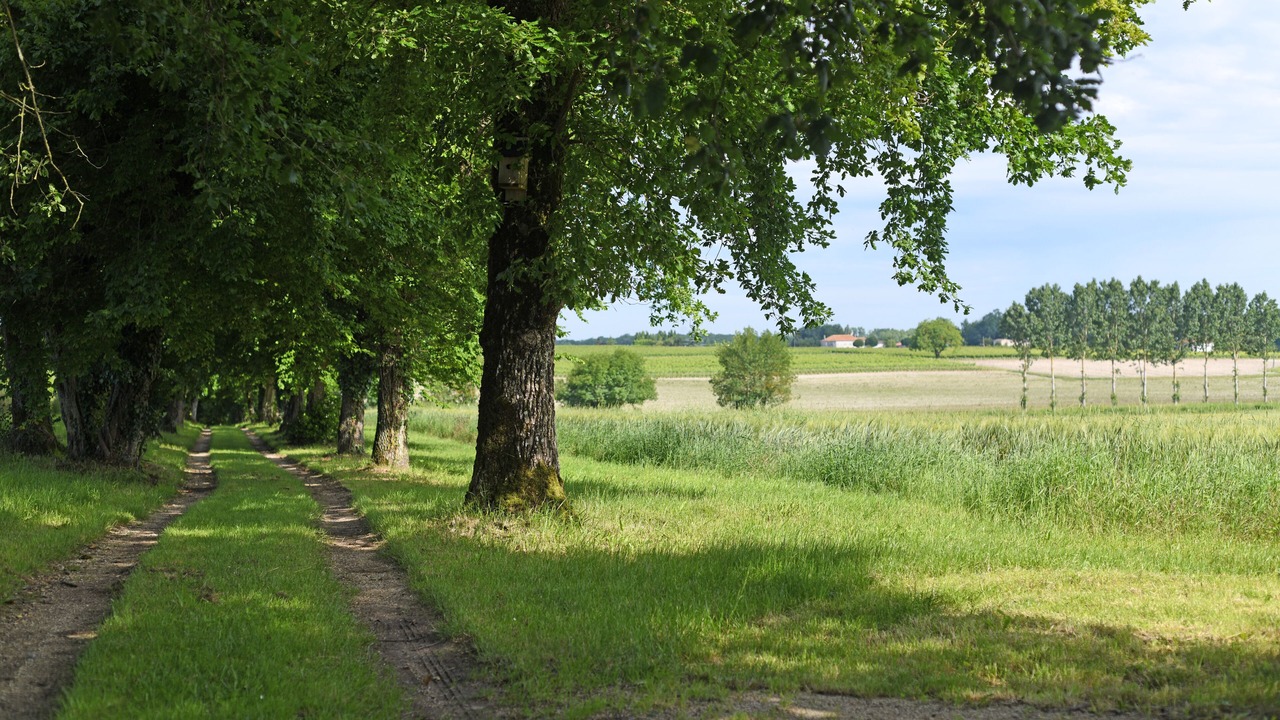 Photo of Outdoor in Reaux