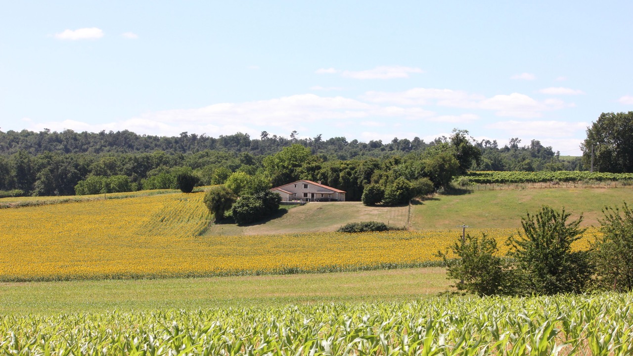 Photo of Others in Bessac