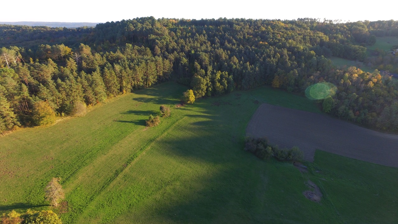 Photo of Outdoor in Auriac-du-Perigord