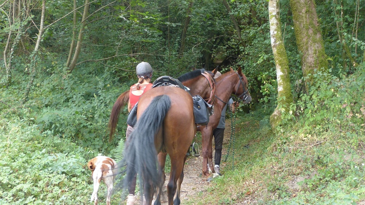 Photo of Others in Busserolles