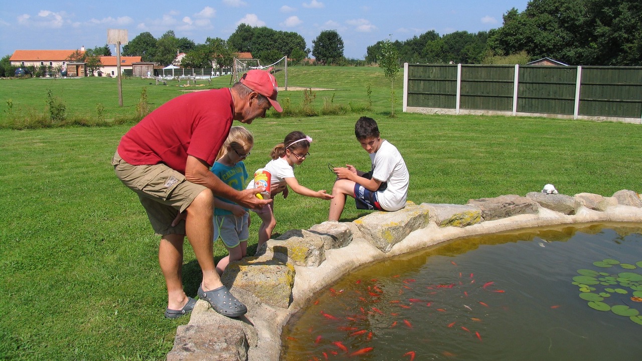Photo of Outdoor in La Ferriere-en-Parthenay