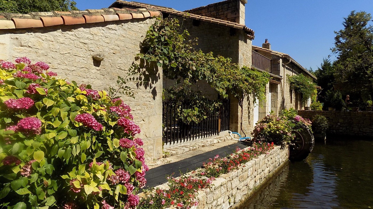 Photo of Outdoor in Paizay-le-Tort