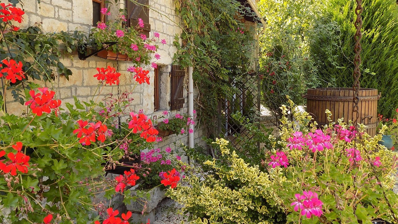 Photo of Outdoor in Paizay-le-Tort
