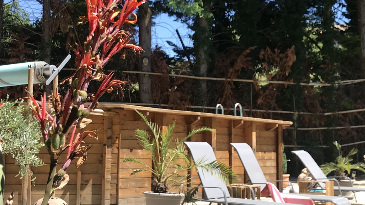 Photo of Outdoor in Paizay-le-Tort