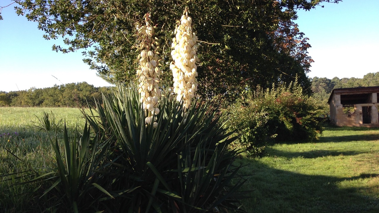 Photo of Outdoor in Saint-Jean-d'Eyraud
