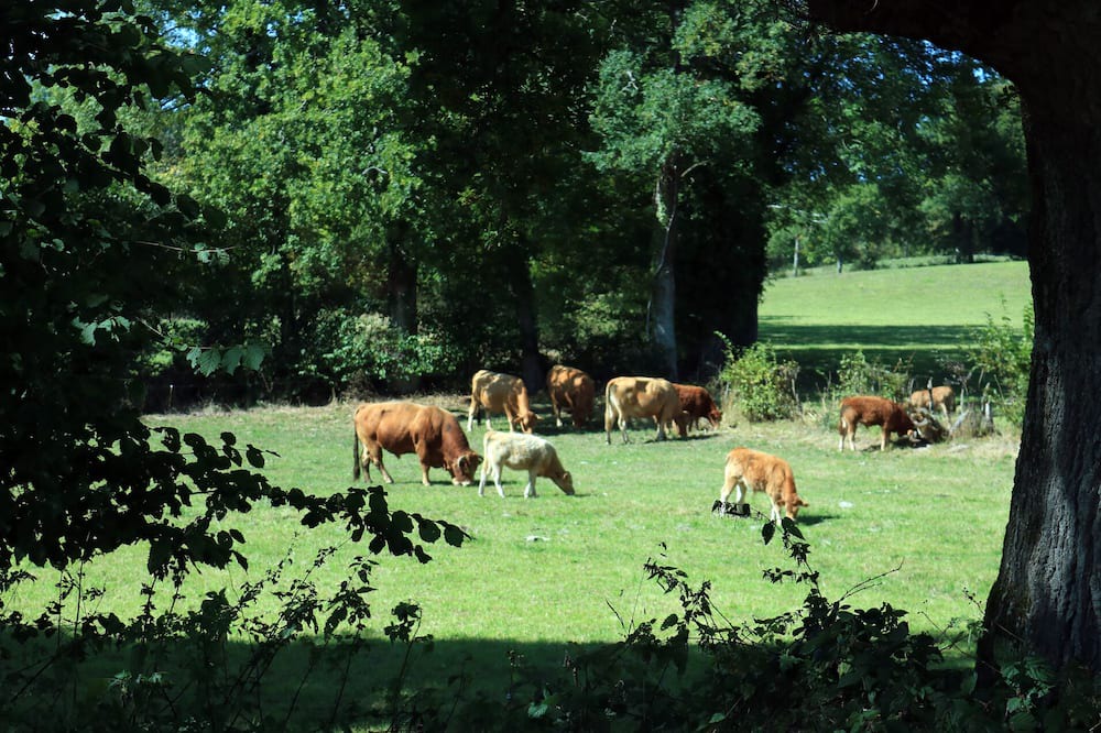 Photo of Others in Auzances