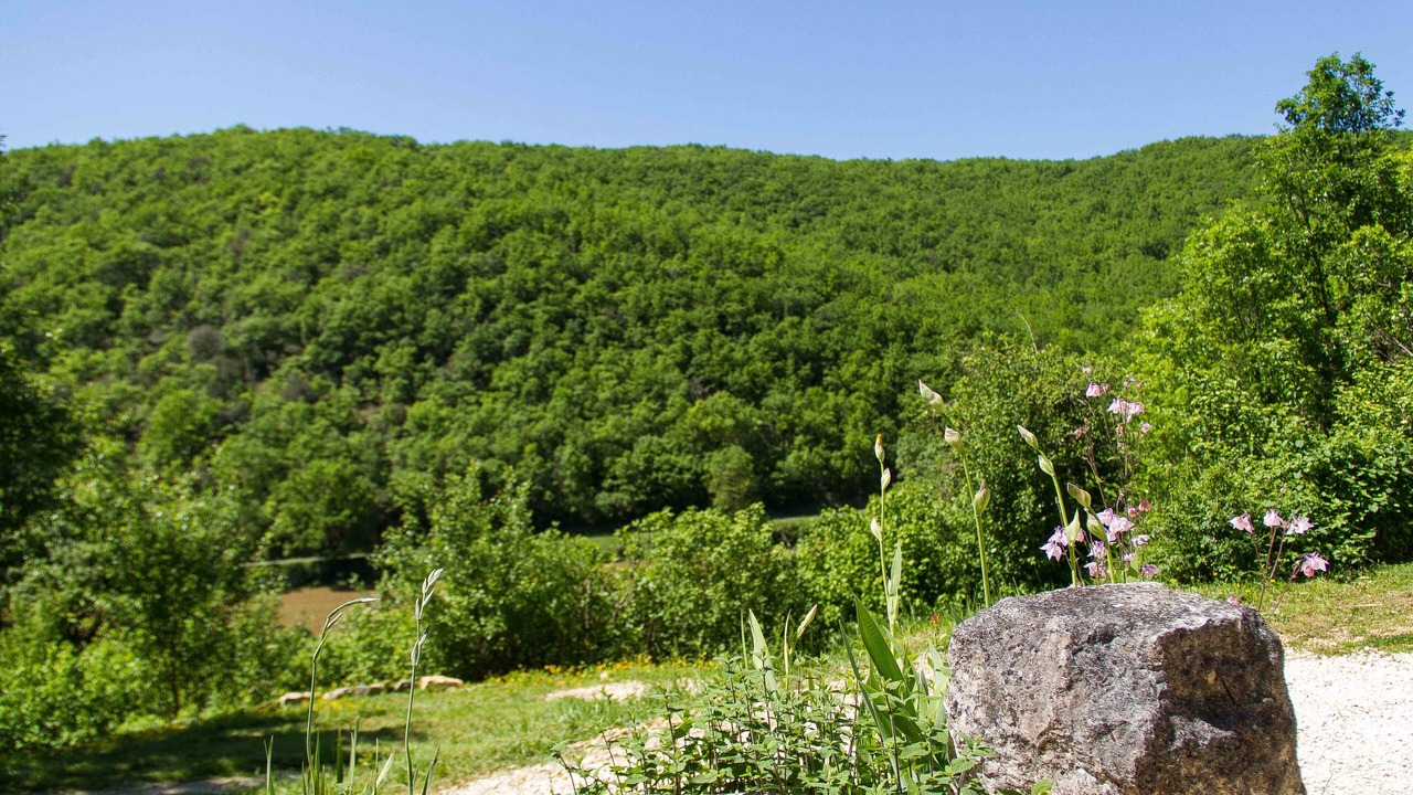 Photo of Outdoor in Carlux