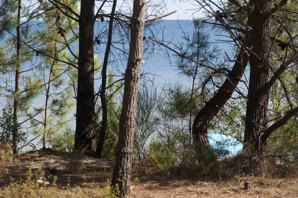 Photo of Outdoor in Carcans