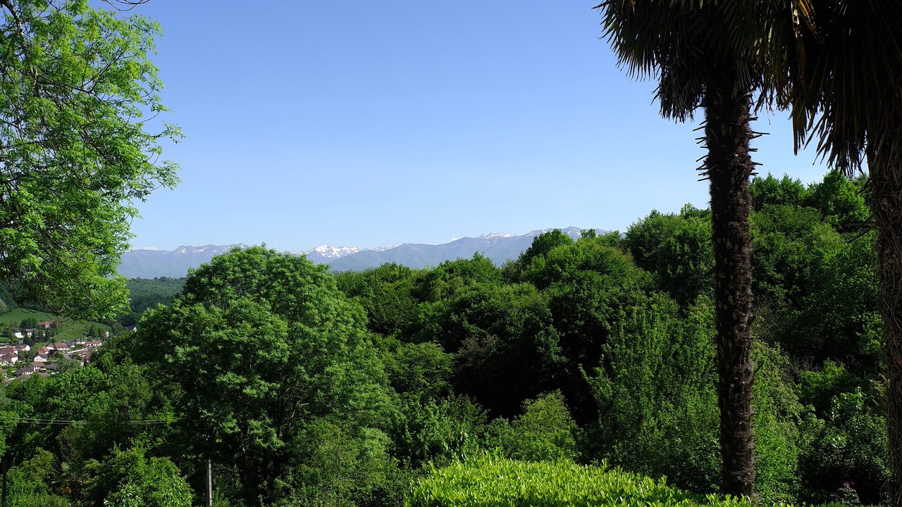Photo of Outdoor in Gan