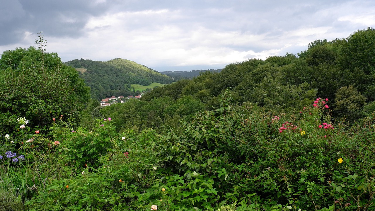 Photo of Outdoor in Gan