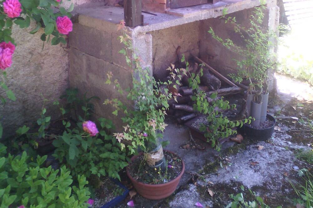 Photo of Outdoor in Excideuil