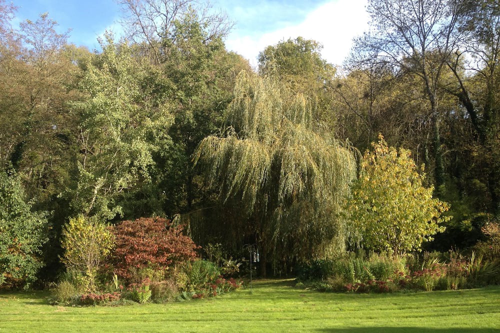 Photo of Outdoor in La Chapelle-Thireuil