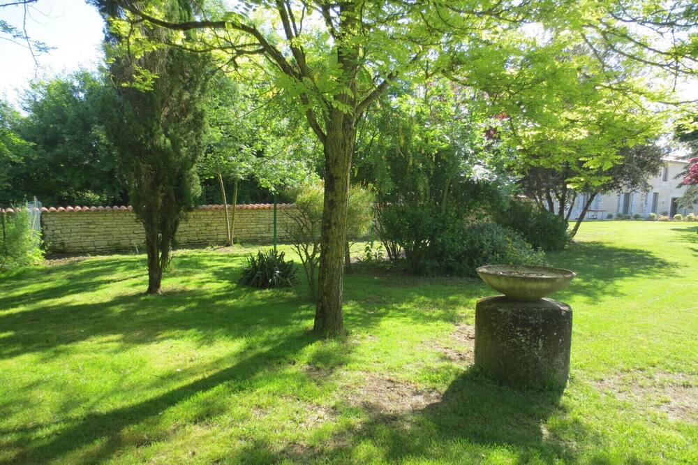 Photo of Outdoor in La Laigne