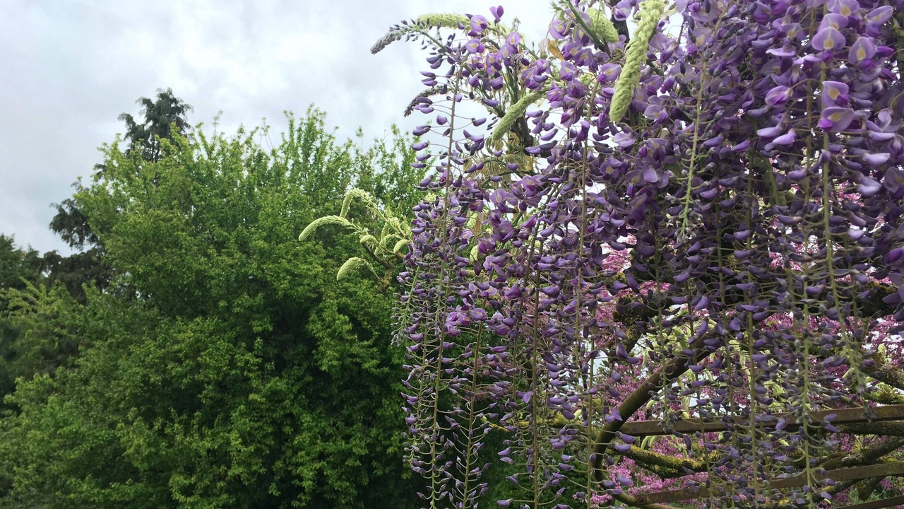 Photo of Outdoor in Ceaux-en-Couhe