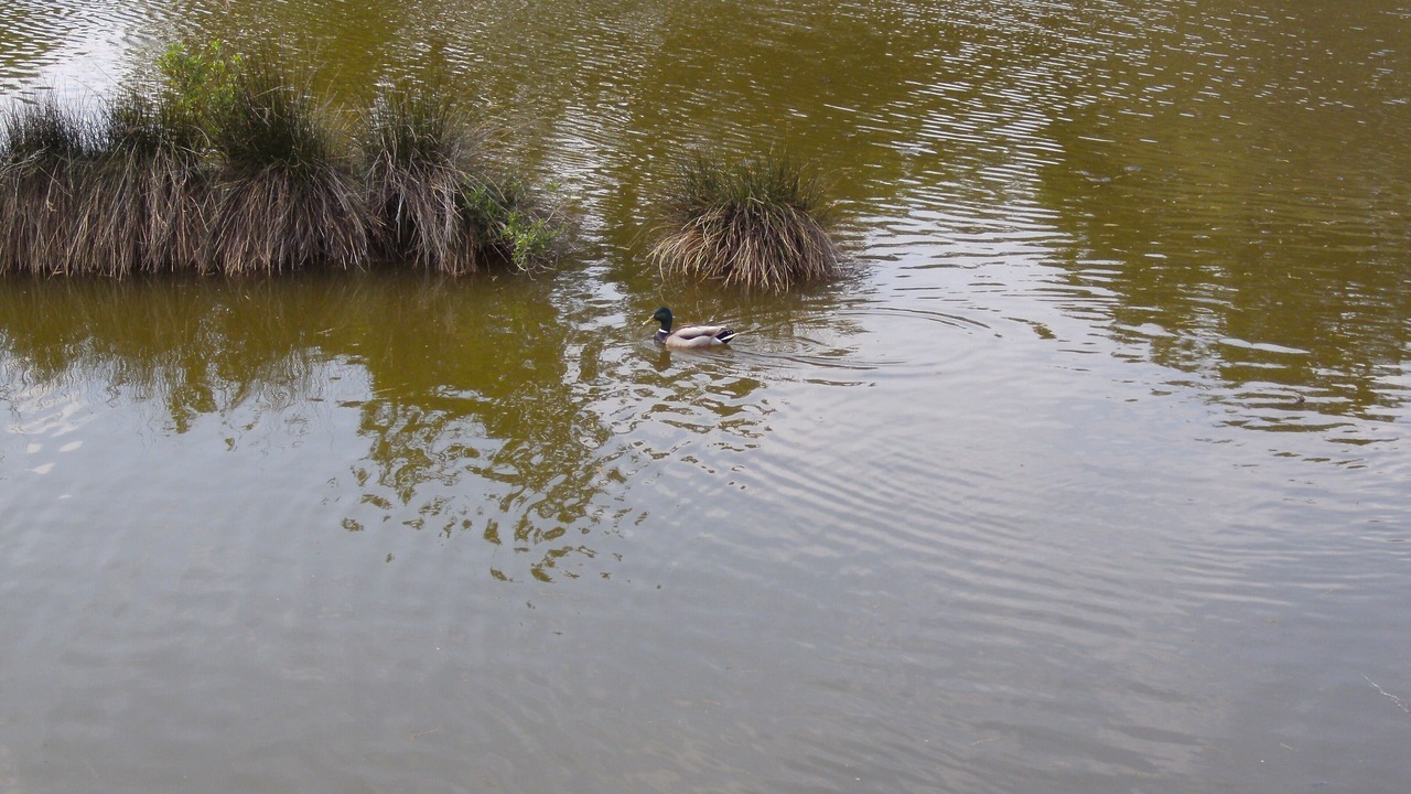 Photo of Outdoor in Audenge