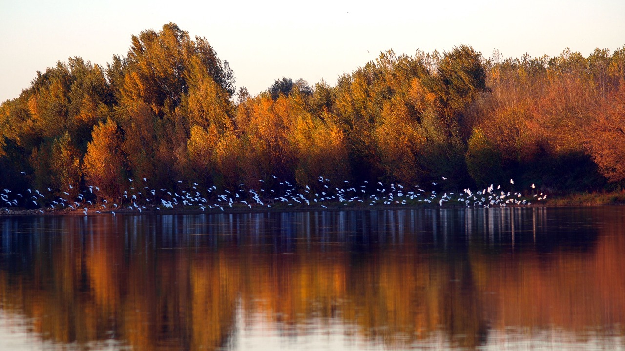 Photo of Outdoor in Meilhan-sur-Garonne