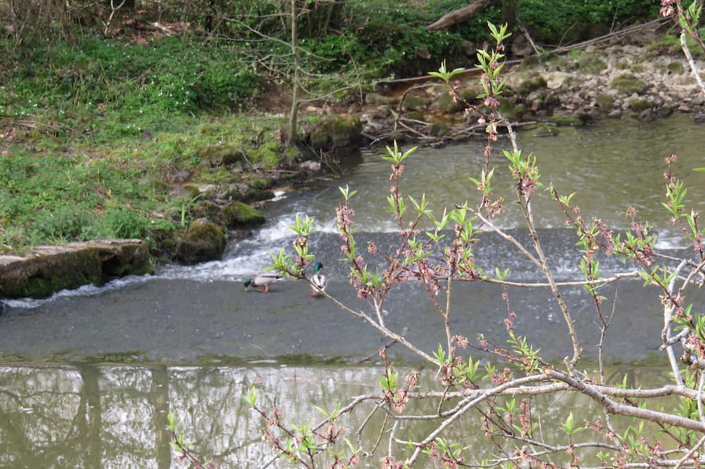 Photo of Outdoor in Rochechouart