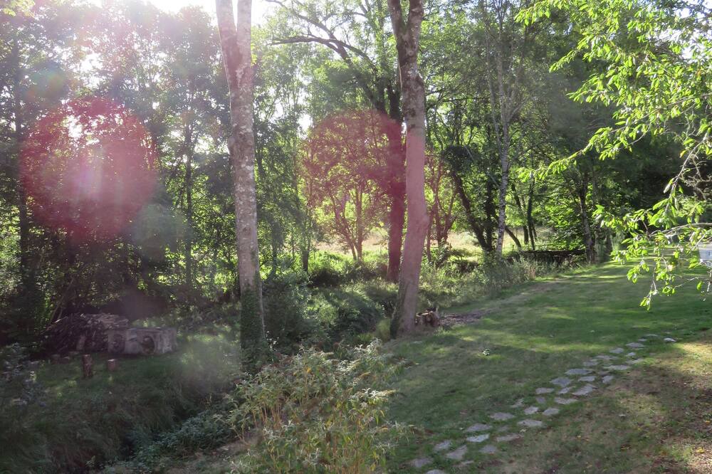 Photo of Outdoor in Rochechouart