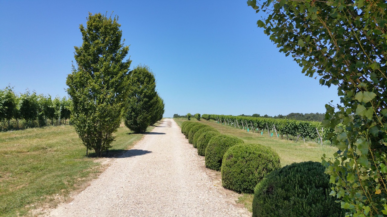 Photo of Outdoor in Pellegrue