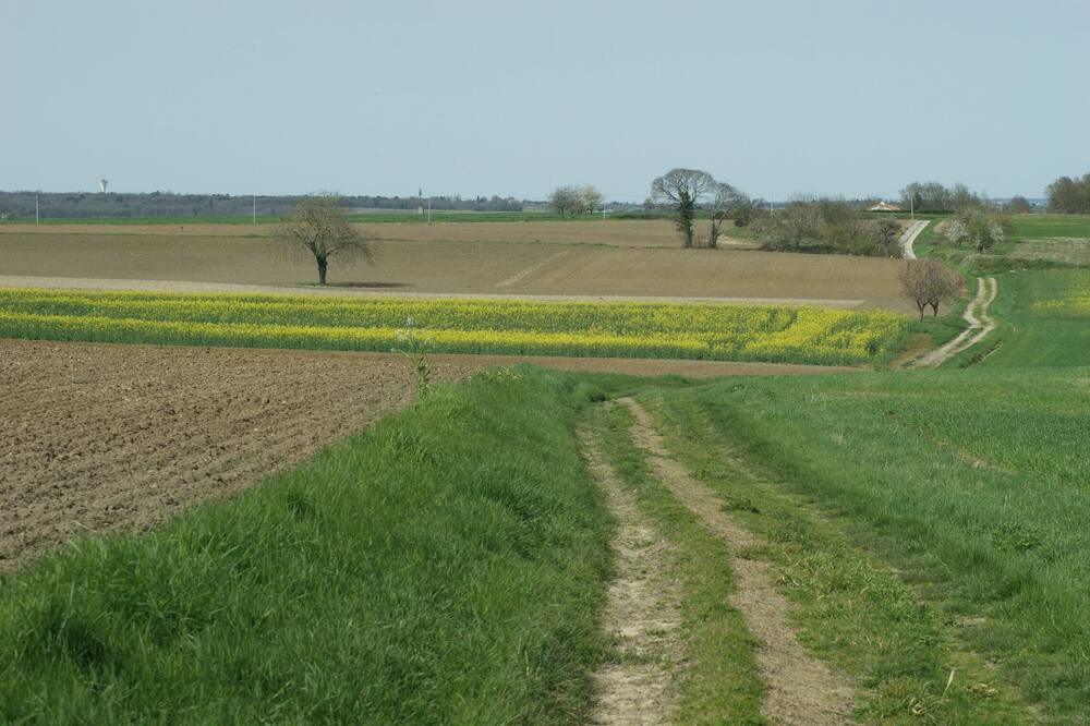 Photo of Outdoor in Bournand