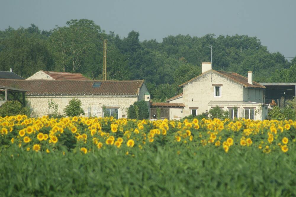 Photo of Outdoor in Bournand