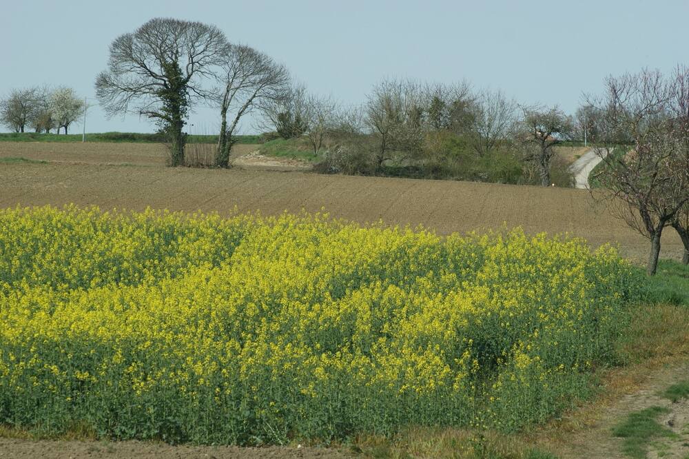 Photo of Outdoor in Bournand