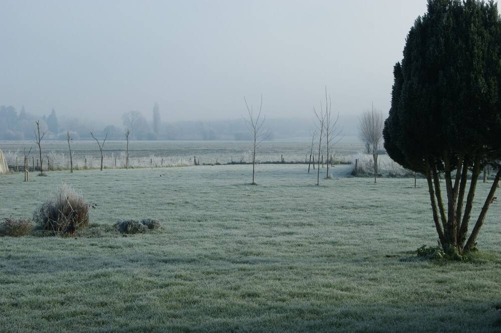 Photo of Others in Bournand