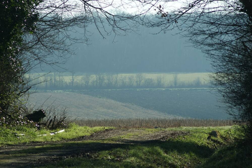 Photo of Others in Bournand